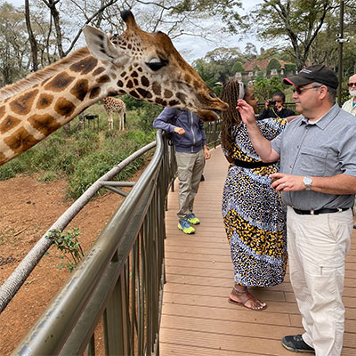 James Cohen feeds a giraffe.