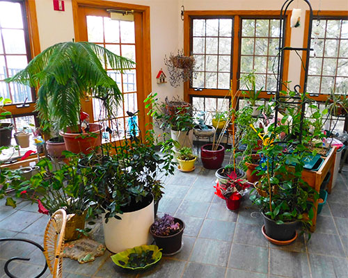 Carolyn Kambich ensured that growing, and maintaining, plant life is a part of the Montessori experience for children.